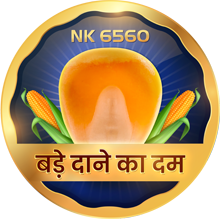 Bade Dane Ka Dum Identity